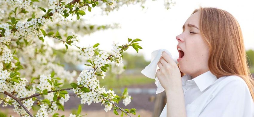 Alerjik rinit nasıl tedavi edilir? Alerjik rinit için evde neler yapılabilir?
