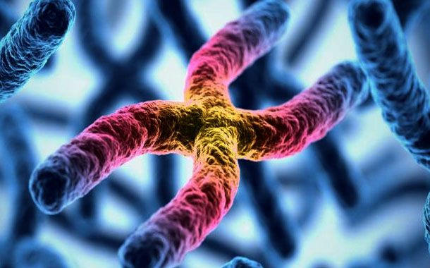 Anne adayları Frajil X sendromuna dikkat!