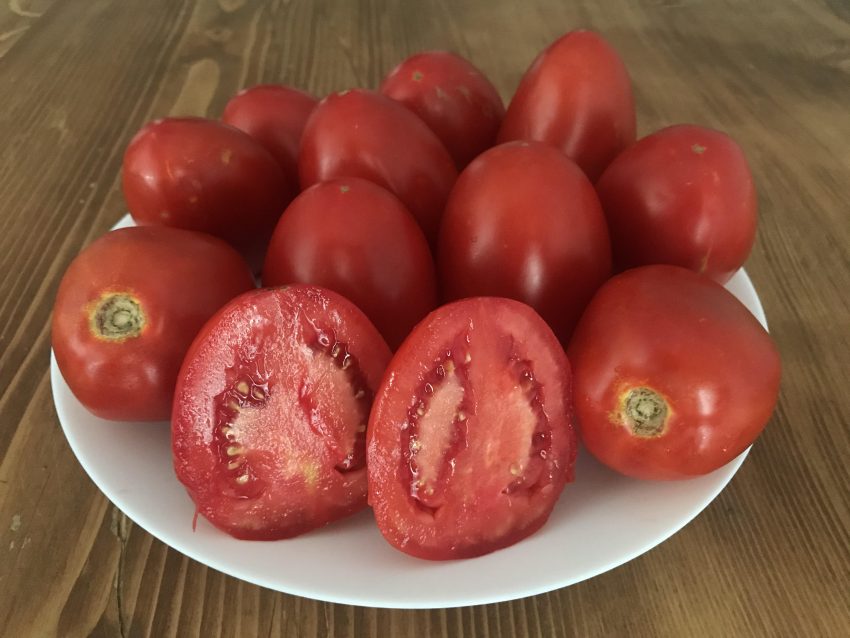 Domates konservesi nasıl yapılır?