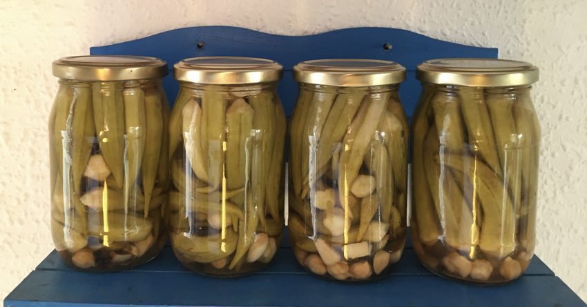 Bamya turşusu denediniz mi?