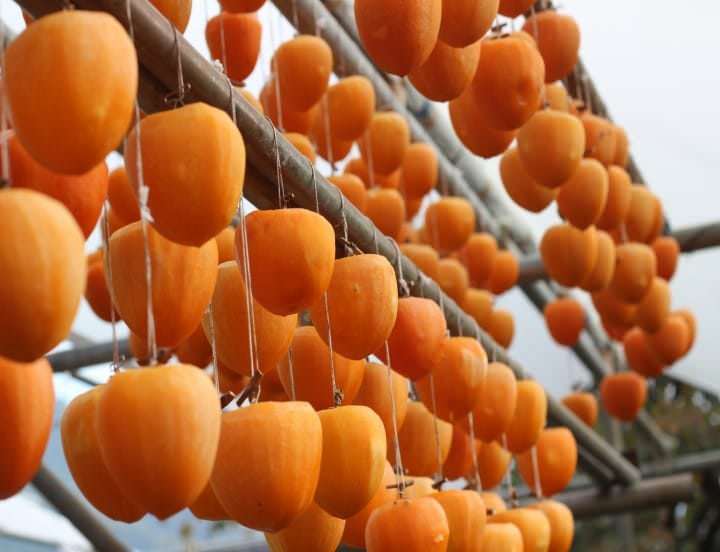 Bağışıklığı zırh gibi yapıyor, bu meyveyi mevsiminde yiyenin grip ve kronik hastalıklar yanından bile geçmiyor!