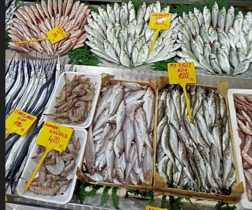 İstanbul sahillerinde lodos ve deniz anası kabusu! Peki balık fiyatlarını nasıl etkiledi?