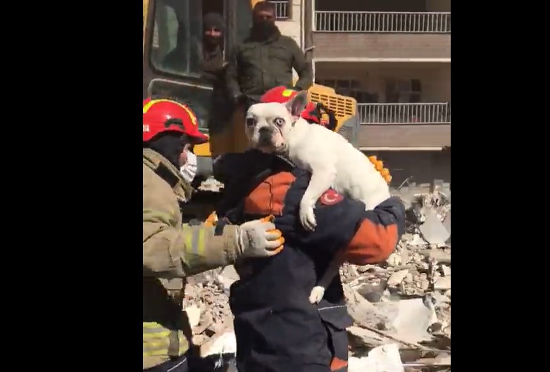 İzmir depreminden kaçıp Hatay’a taşınan aile depremden kurtulamadı! Enkazdan sadece köpekleri sağ çıktı…