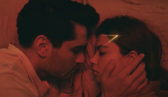 yalıçapkınıtantıım