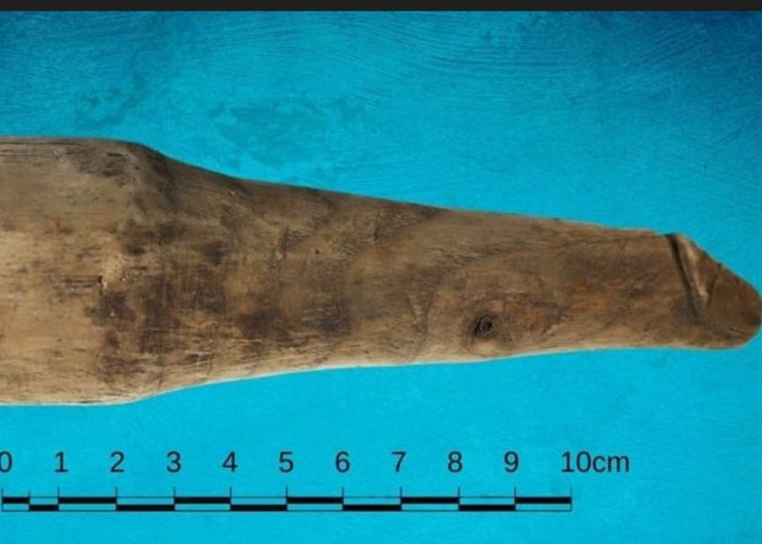 Romalılara ait 2 bin yıllık penis şeklinde seks oyuncağı bulundu!