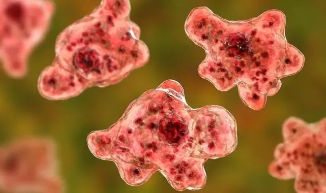 Burnunu musluk suyu ile yıkadıktan 10 gün sonra öldü!