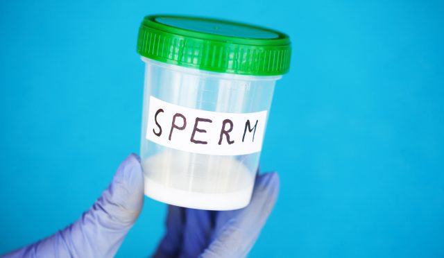 sperm