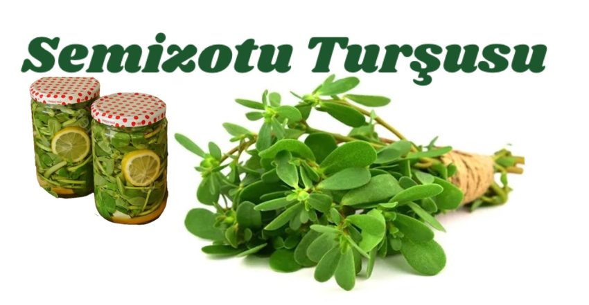 Bu turşu diğerlerine benzemiyor